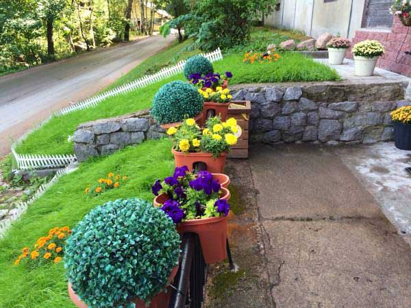 ����� � ������� ������� �������� �� ���������� � ������������ �������