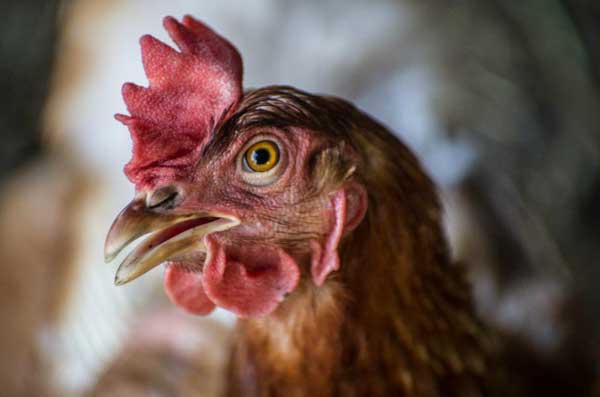 ����������� ������� ��������� ���������� ������ � ������������ ����� ������