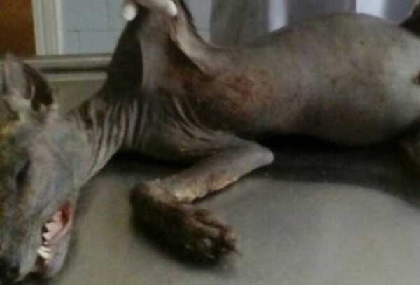 �� ������� ����� ���������