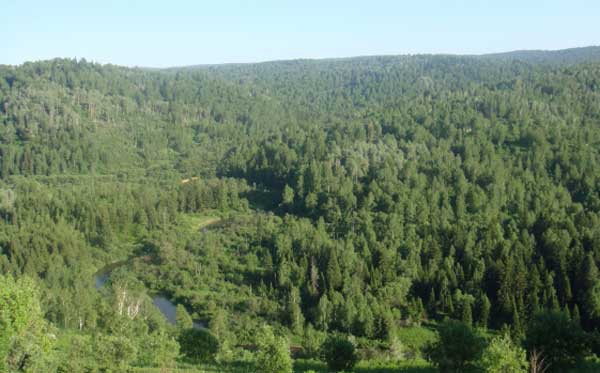 ��������� ����������� ������� �� ������ ��� ���� � �����