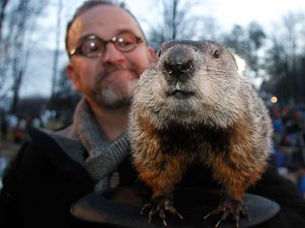 ����� ��� ���������� ������ �����