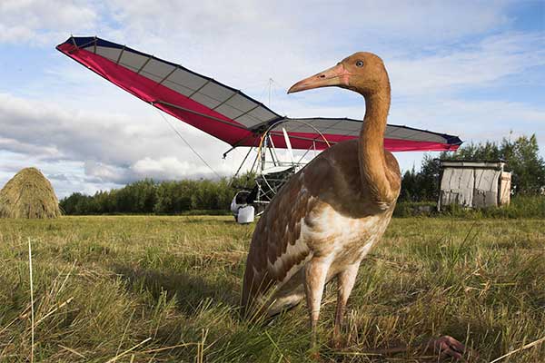 ��������� ����� ���� �� ����� ����������� ��������� ������ ������