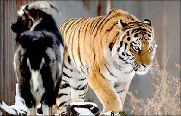 ���� ����� ��������� ������ � �����