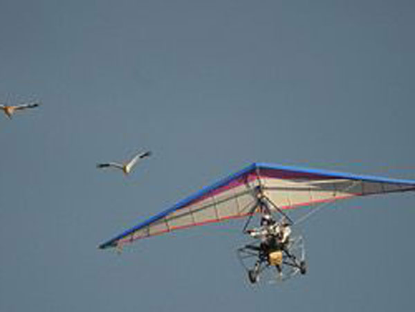 ��������� ����� ���� ����� ���� ����