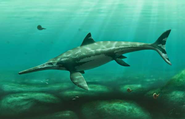 Названа причина вымирания ихтиозавров Названа причина вымирания ихтиозавров