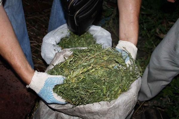 У жителя Приморья изъяли 82 килограмма марихуаны