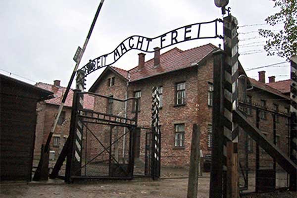 Обвиненные в краже из Освенцима британцы оказались учениками элитной школы