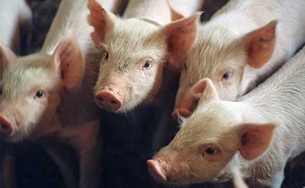 ������ ��������� ���� � ��� ��-�� ����������� ������