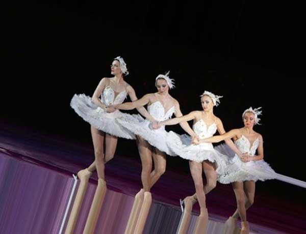 Puma ������������ �������