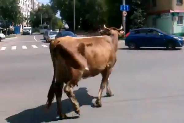 ������ ������ ������� ��������� � ���������� ������