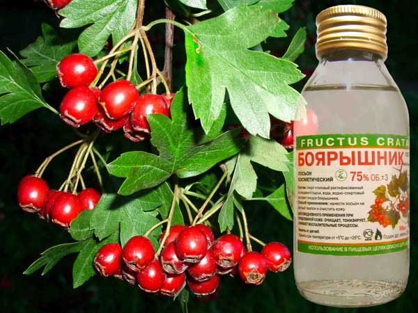 ��������� ��������� �������� ������ ������ ������� �����������