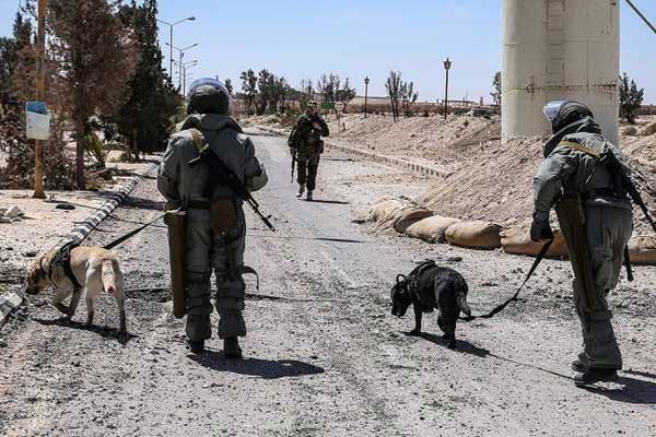 ����� ����� ���������� ������� ������ ������������� ��������