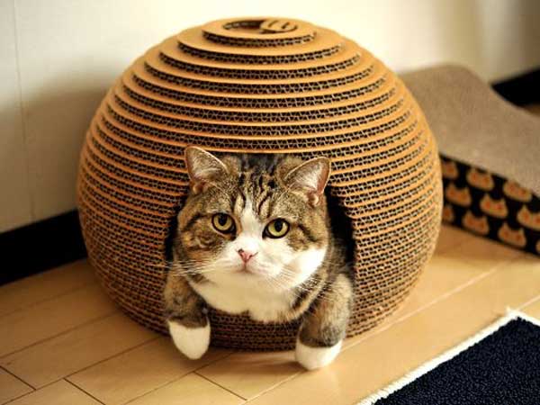 ����� ���������� � ���� ��� ����� � ����� �������� ��������