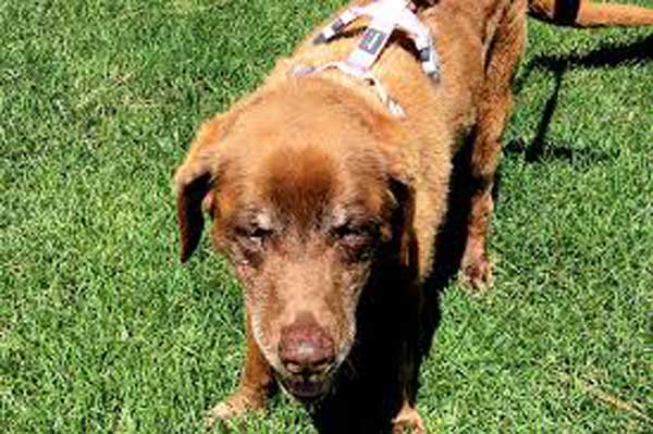 � ��� ������������ � ����� ������ ������� ����� ������ ������ �������