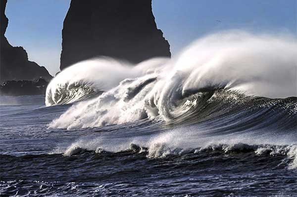 ����� ������������� � �������� ��������� ������ ������