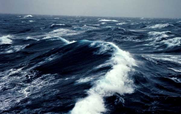 � ����� ������ ��������� ������ �������������