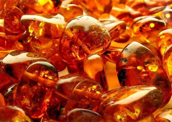 �������� �������� �� ������ 12 ����������� ������ � ����� �������� �������