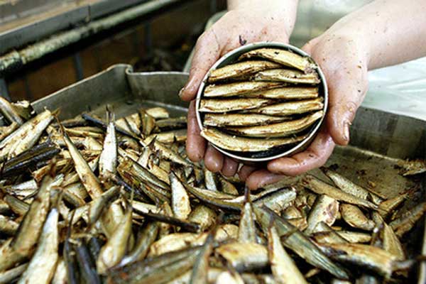 ������ ��������� ������ �� ���������� ����� ���� ��� �������