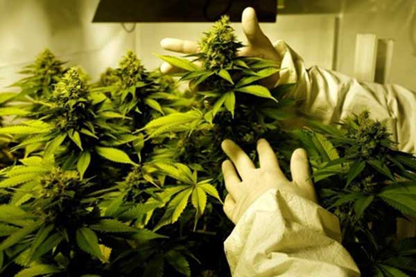 ���������� �������� ���������� �� ���������