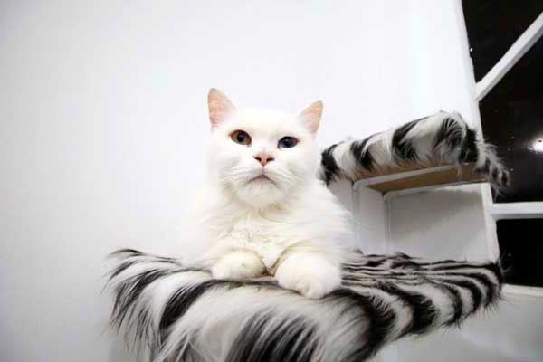 ��������� ��� ����� ��������� � �����