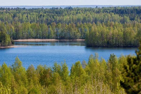 ���������� ��������� ��������� ��������� ������