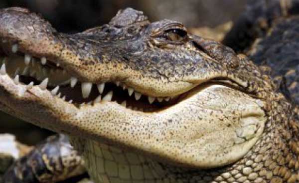 ������������ ��������� ����� ���� � �������� � ���