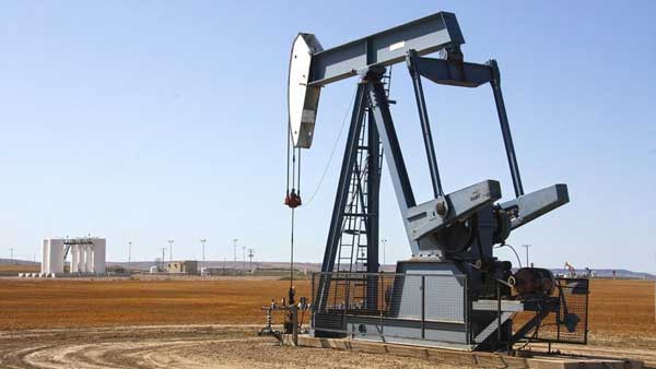 ���� �� ����� �������� ����� �������� ����� ��������� ��������