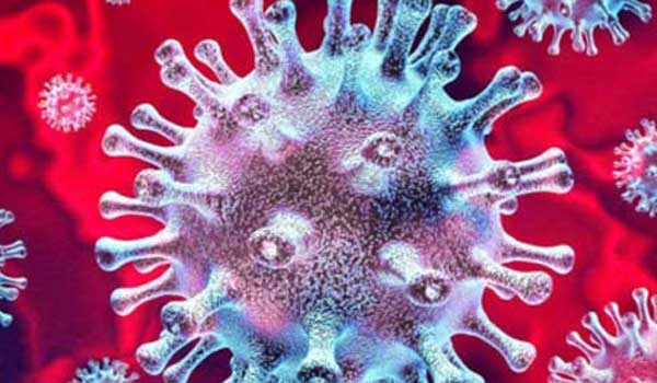 ����������� �������� �������������� ��������