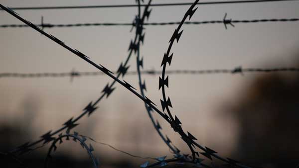 Трое заключенных сбежали из колонии в Петербурге Трое заключенных сбежали из колонии в Петербурге