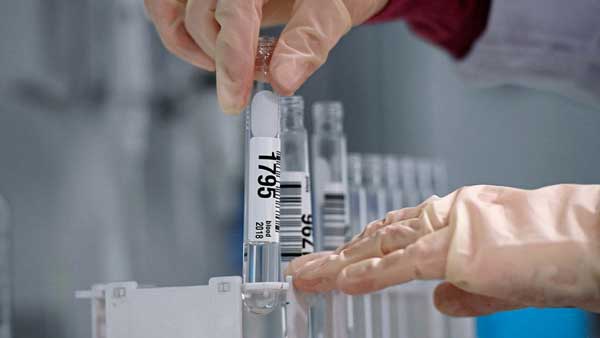 �������� ���������� ������������ ������������������ �� ������