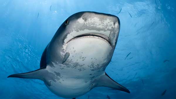 ������������ ����� �������� � ������� �� ����� � ������� �� �� ����