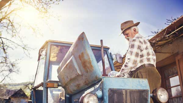 ������� ��������� �������� �������� �� ������ ���� �������� �������