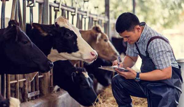 ������ ������ ������ ������� ��� ������ �������� �����������