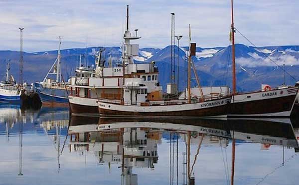 ������ ������ ��������� ������������ ����������� �����