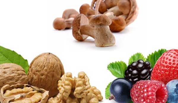 Ценам на орехи и грибы в России пообещали рост Ценам на орехи и грибы в России пообещали рост