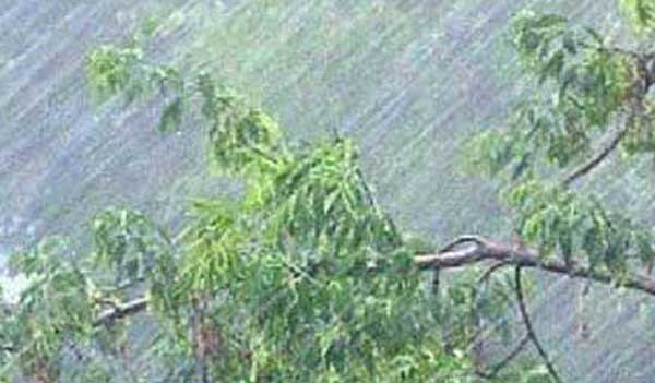 ��������������� ������� ������ � ���� ���������� ��������