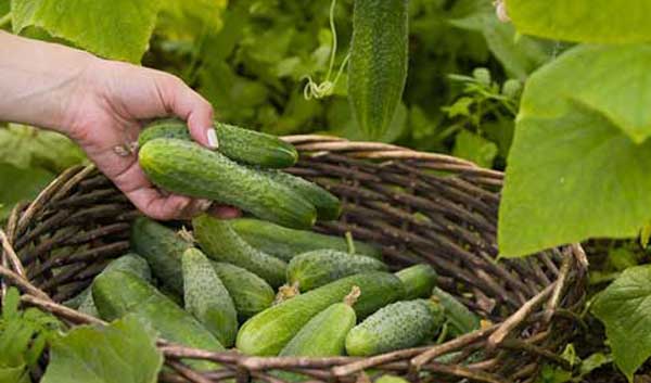 ������� ������������ � �������� ������������ �� ����� �����