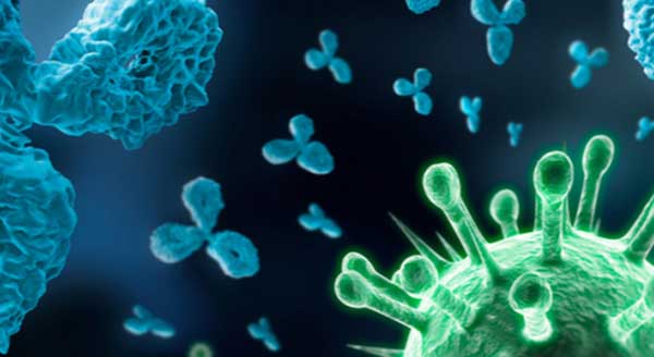 ������ �������� ������ ������������ ��������� ������������