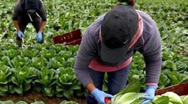 �������� ��������� ������ �� ��������