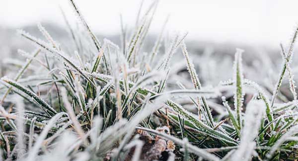 � ������ ������� ������ ���������